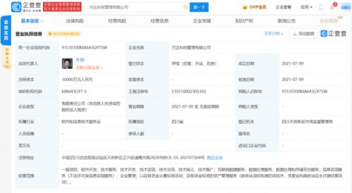 万达科技新公司成立 加码软件开发与平台服务，推动集团数字化战略